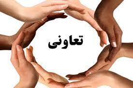 کمتر از ۶ درصد از احکام بخش تعاون اجرایی شده است