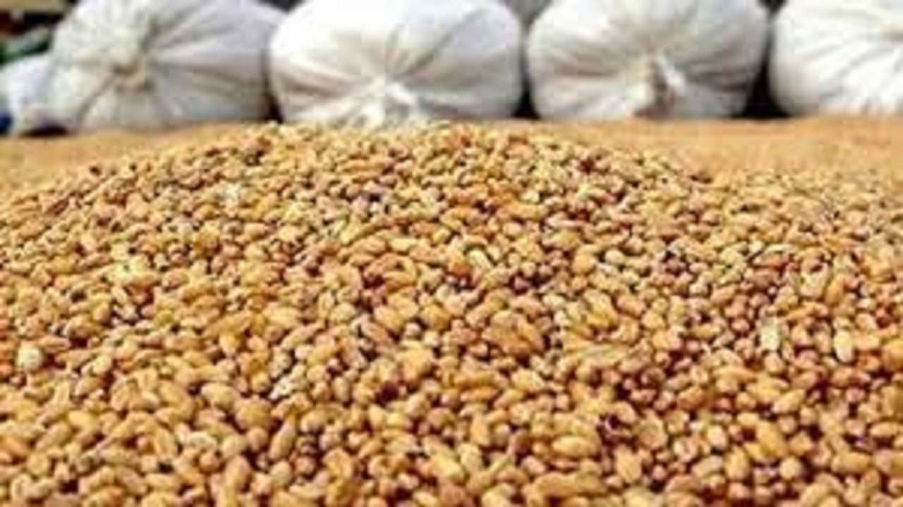 کشف ۱۵ تُن خوراک غیرمجاز آبزیان در ملایر