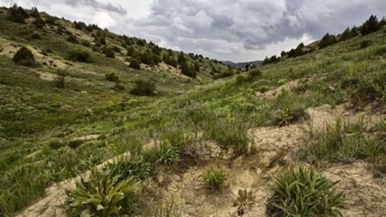 بازگشت بیش از هزار و ۳۰۰ هکتار از اراضی ملی به بیت المال در گلستان
