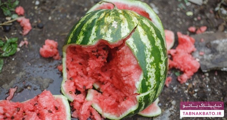 رسوایی&zwnj;های غذایی تاریخ