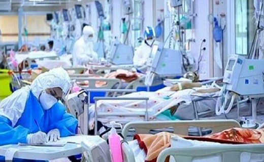 تاخت و ناز بی رحمانه سویه جهش یافته در اصفهان تاخت و ناز بی رحمانه سویه جهش یافته در اصفهان