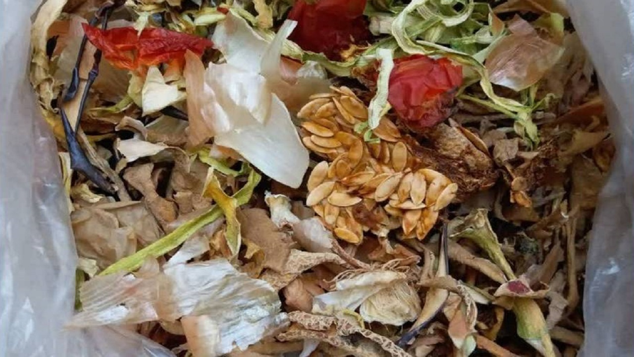 پسماندی که گوشت و لبنیات را ارزان می‌کند!