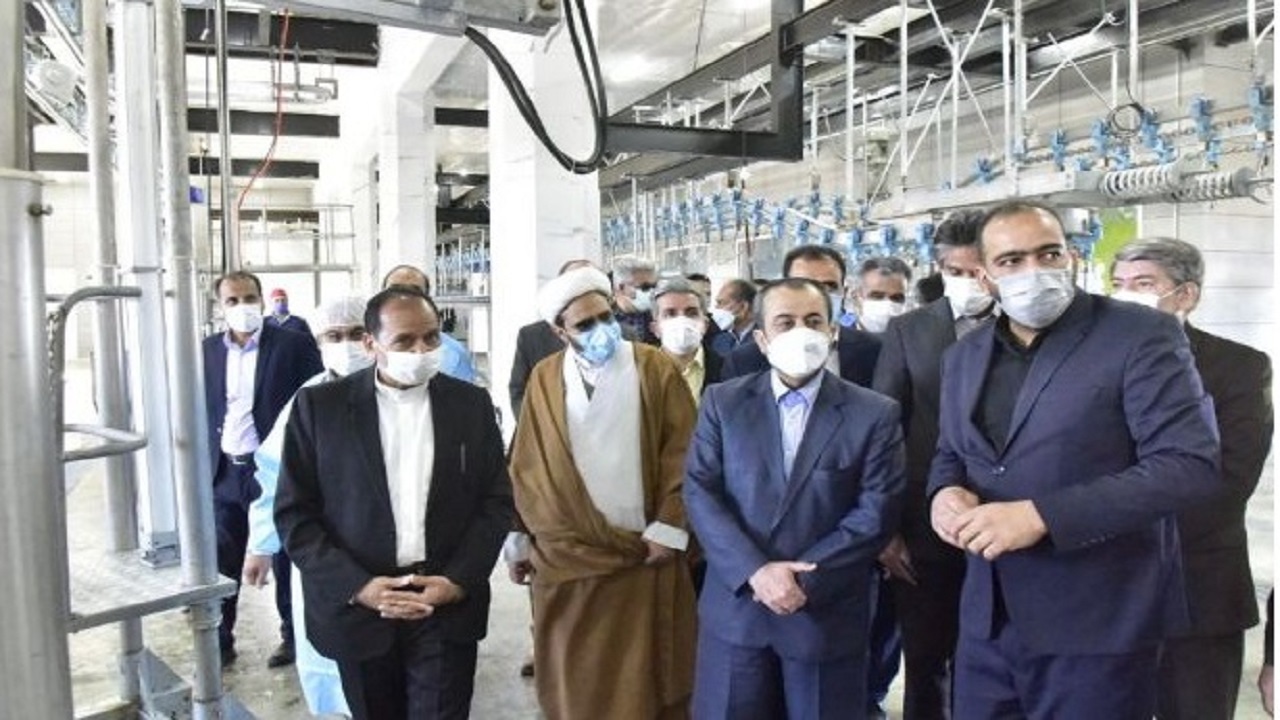 پایان چشم انتظاری دامداری های خراسان جنوبی