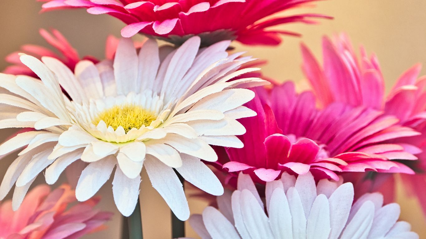 گل