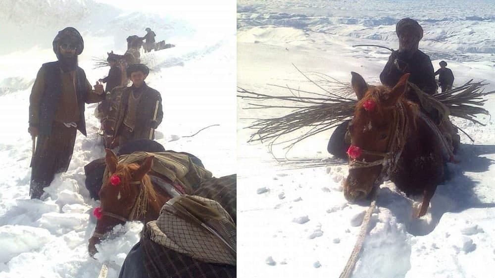 ولسوالی کوهستان فاریاب در محاصره‌ برف؛ مریضان در مسیر راه جان می‌دهند