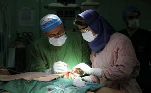 دستیابی محققان گیلانی به درمان پیشرفته سوختگی