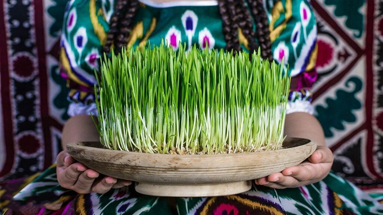 بهترین زمان برای کاشت سبزه عید نوروز با انواع دانه 