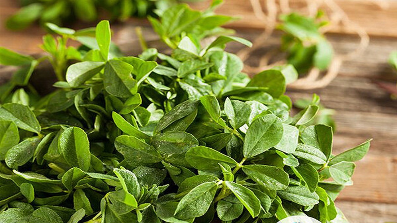 بهترین زمان برای کاشت سبزه عید نوروز با انواع دانه&nbsp;