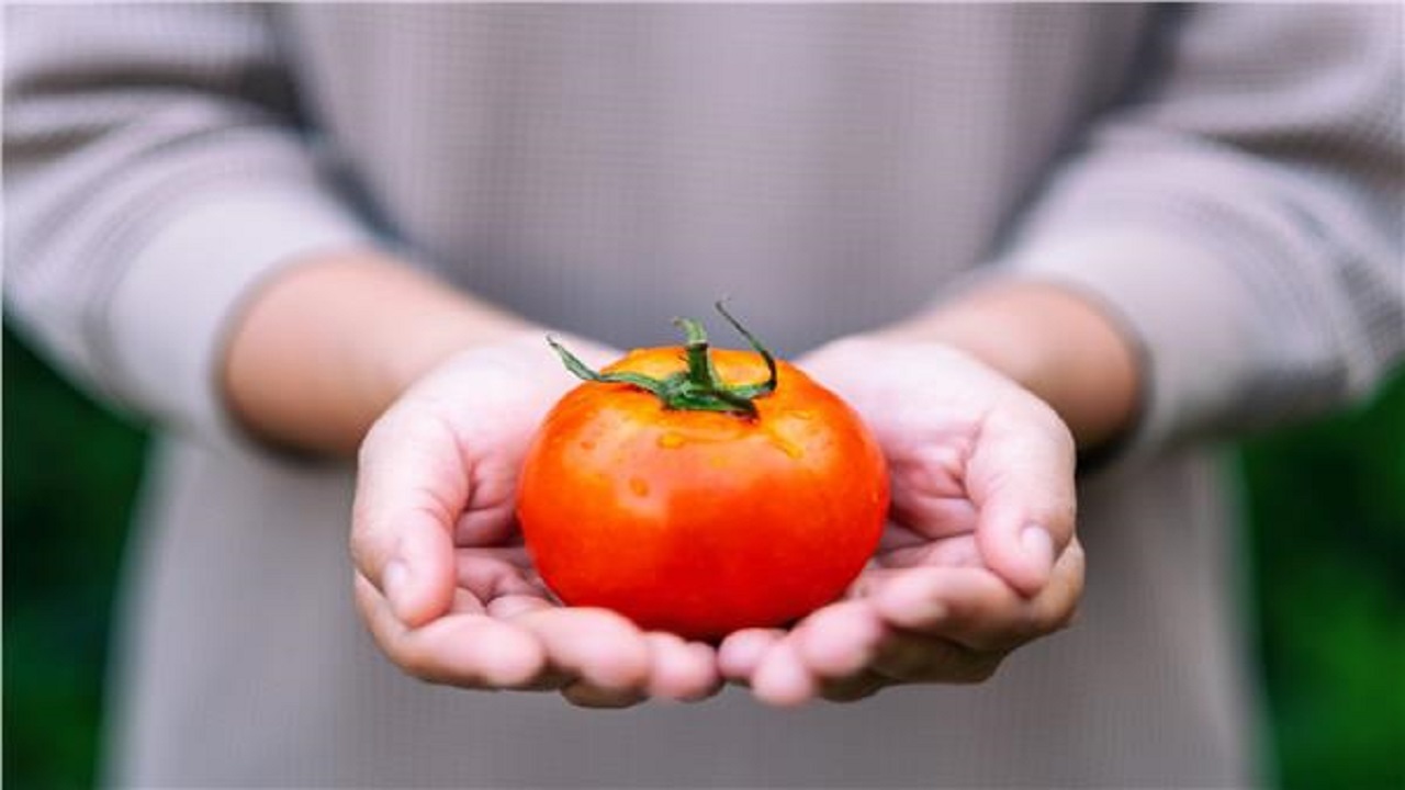 تاثیر گوجه فرنگی بر کارآیی سیستم تنفسی