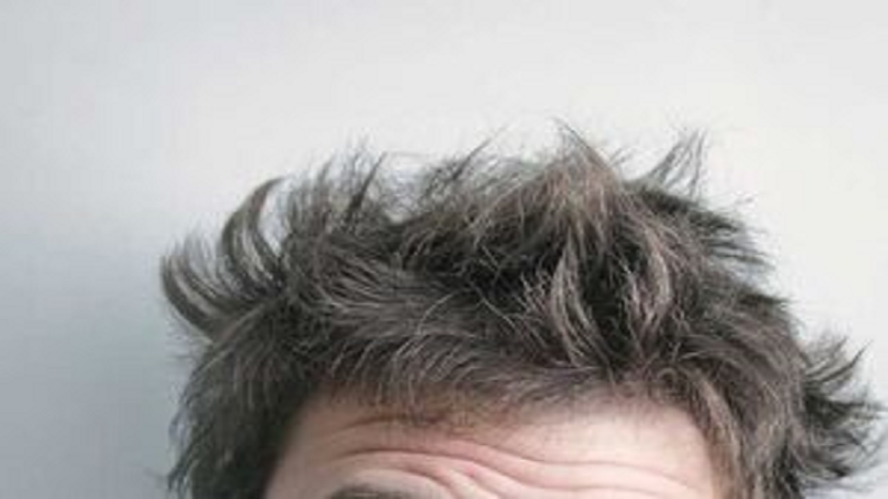 ۹ خوراکی مفید برای رشد بیشتر مو‌ها