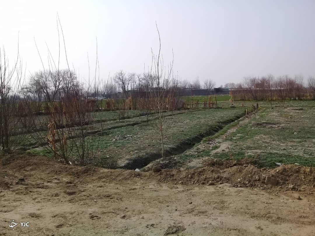 زمین زراعی