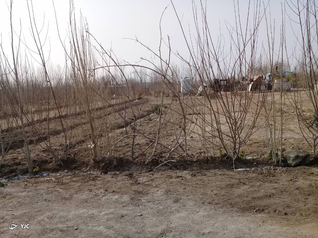 زمین زراعی