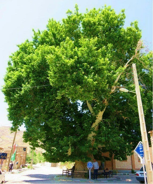 زیباترین روستای گناباد که چشم&zwnj;ها را به خود خیره می&zwnj;کند+تصاویر