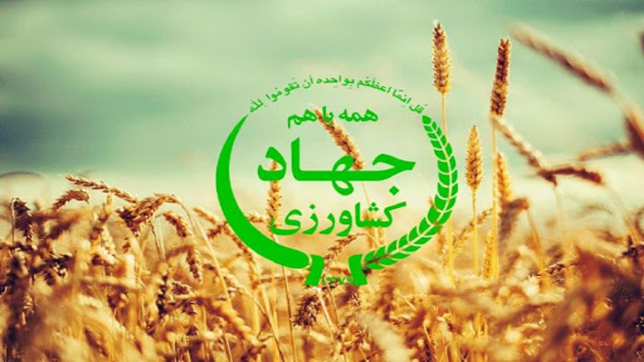 رئیس سازمان جهاد کشاورزی استان همدان معرفی شد