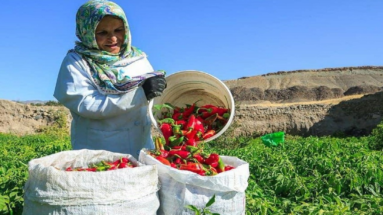 تندترین روستای ایران کجاست؟+ تصاویر