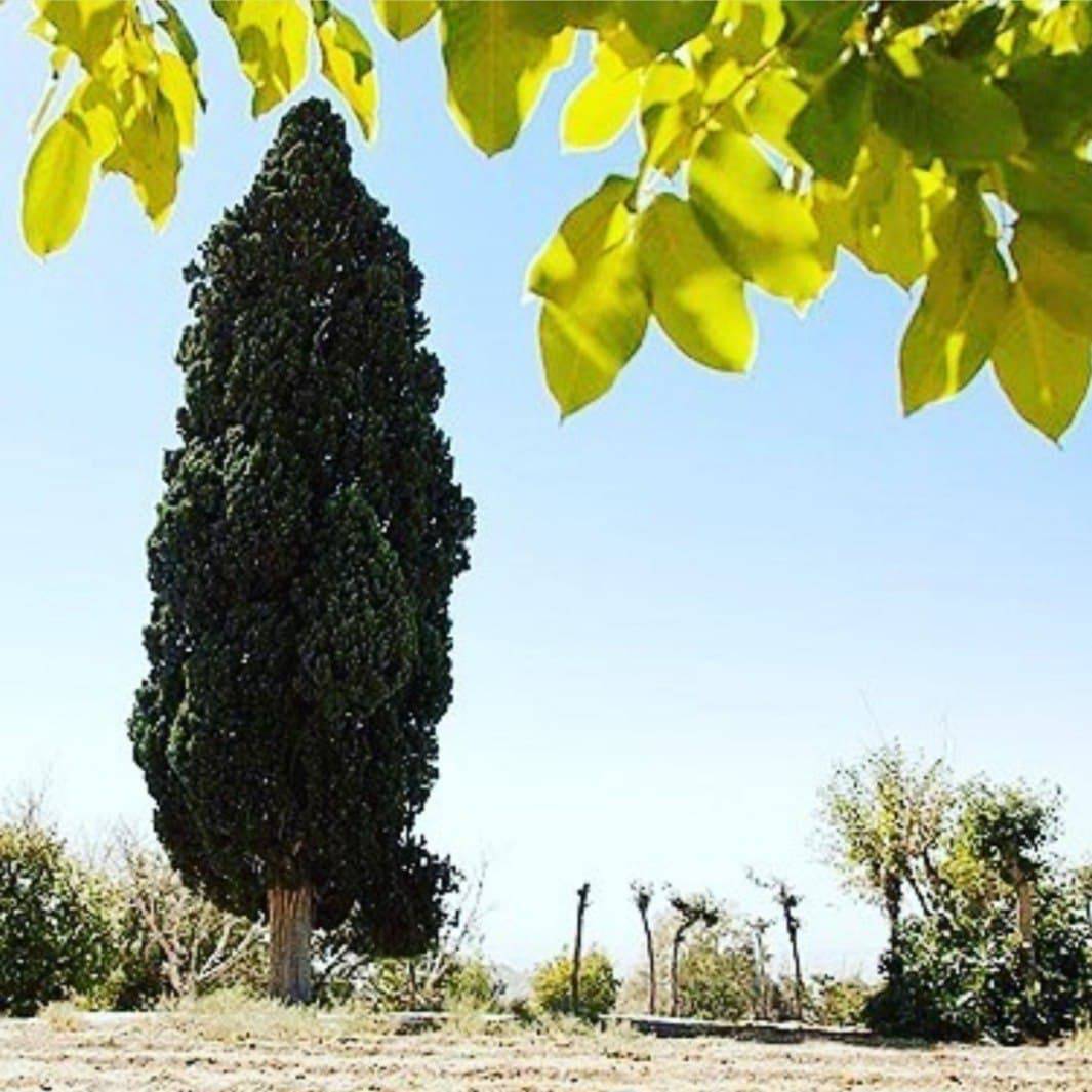 تندترین روستای ایران کجاست؟+ تصاویر