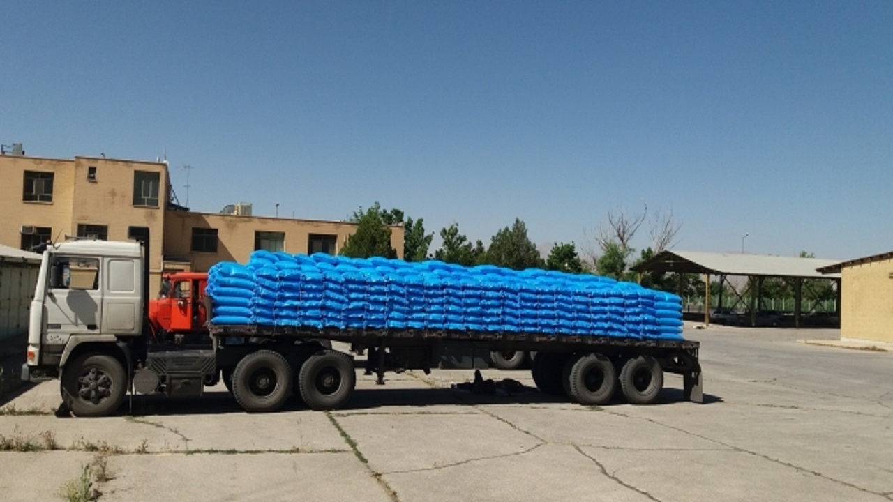 توزیع ۶۰۰ تن بذر اصلاح شده گندم در چهارمحال و بختیاری