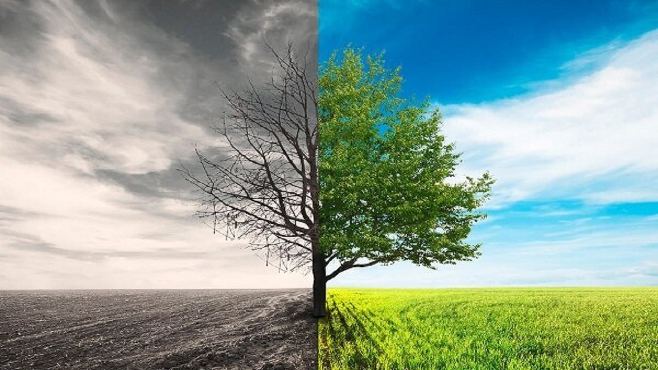 آیا انسان باید خواهان مرگ باشد یا نسبت به مرگ کراهت داشته باشد؟