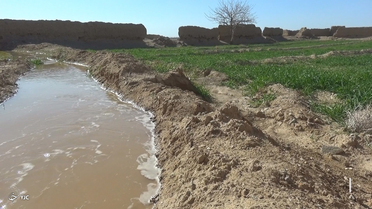 بالا آمدن امید از چاه کشاورزی روستای کوشه سفلی