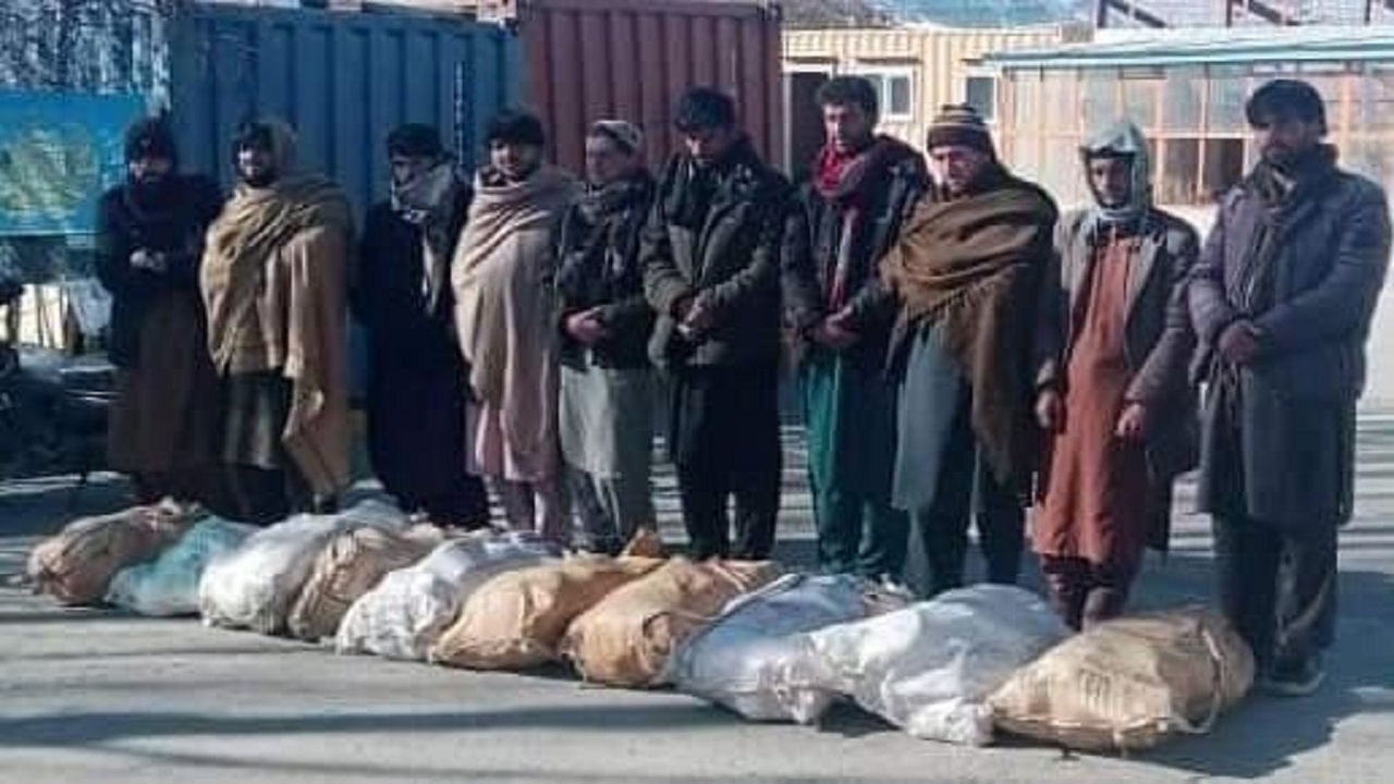 بازداشت ۱۰ قاچاقچی مواد مخدر در پکتیا