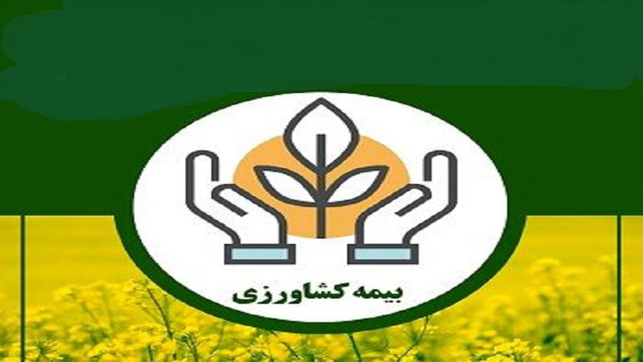 صدور بیش از ۵۲ هزار بیمه نامه کشاورزی در فارس