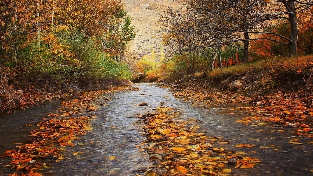 بهشتی خوشبو در زمین به نام عنبران