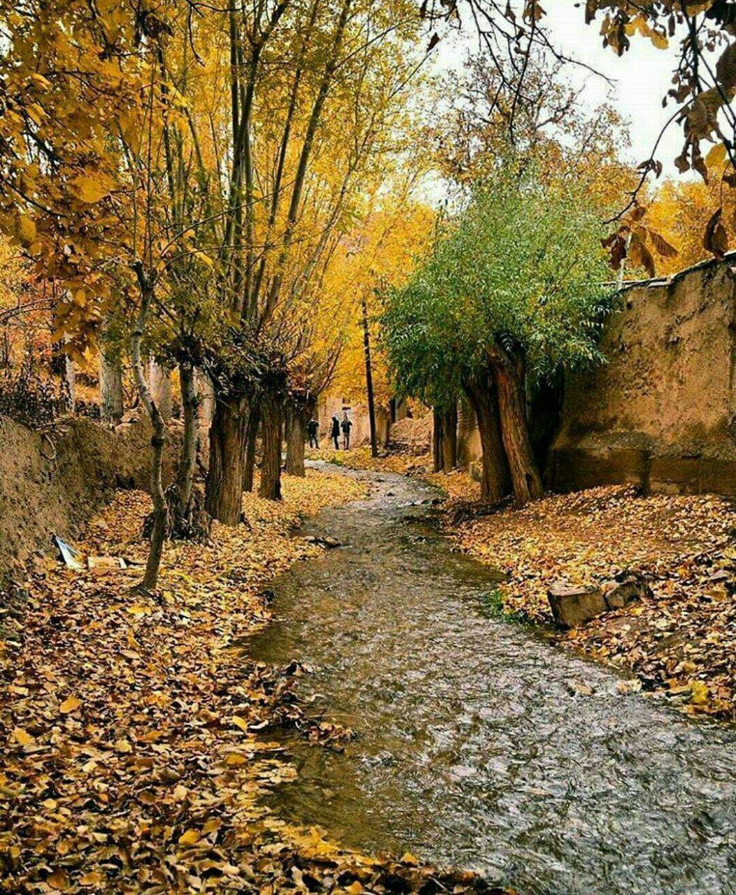 طبیعت پاییزه جنگل
