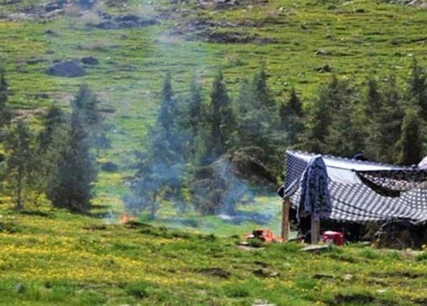 بهشتی خوشبو و عطرآگین در زمین به نام عنبران