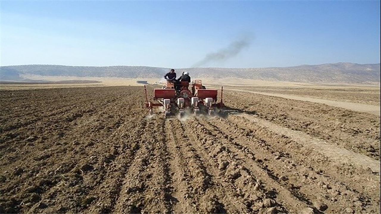 عقب ماندگی ۷۰ درصدی فرآیند رویشی مزارع دیم در خراسان شمالی
