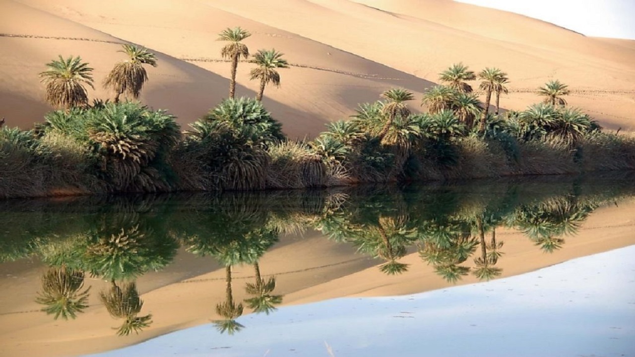 آیا در عمل امکان تبدیل بیابان به جنگل وجود دارد؟