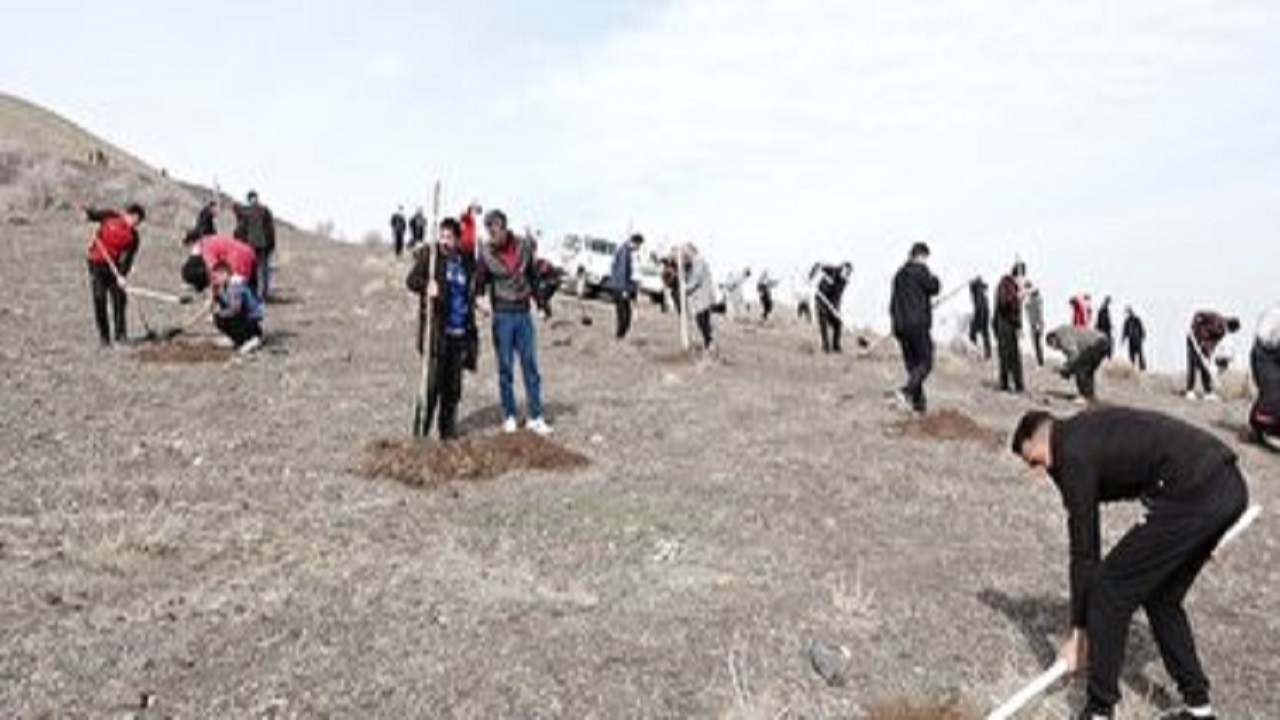 نهال کاری رها یافتگان اعتیاد در قم