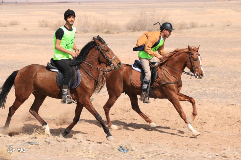 مسابقات سوارکاری استقامت استان کرمان در رفسنجان