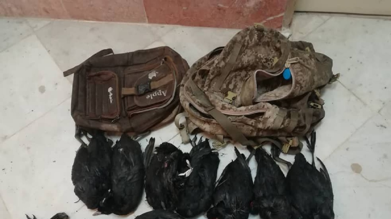 کشف چنگرهای شکار شده در خلیج گرگان