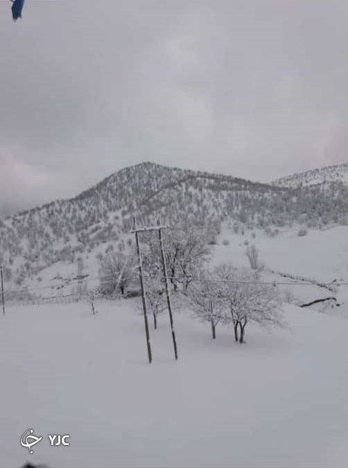 ترکی