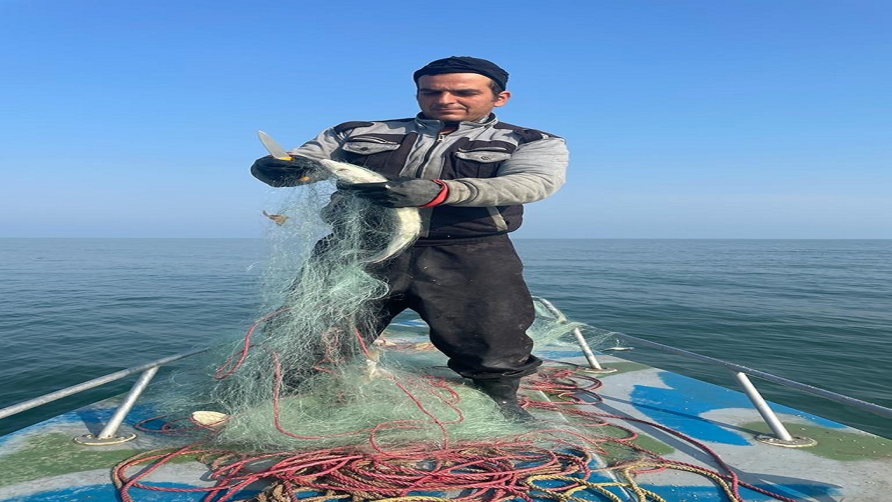 کشف بیش از ۴۷۰۰ رشته دام ماهیگیری در مازندران