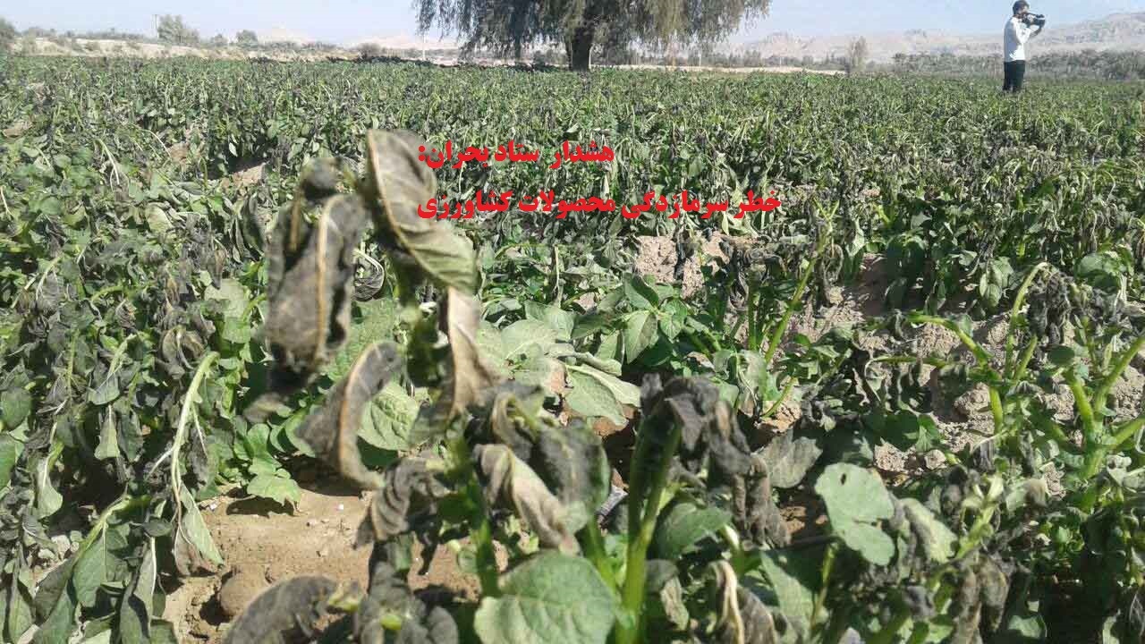 هرمزگان یخبندان می شود