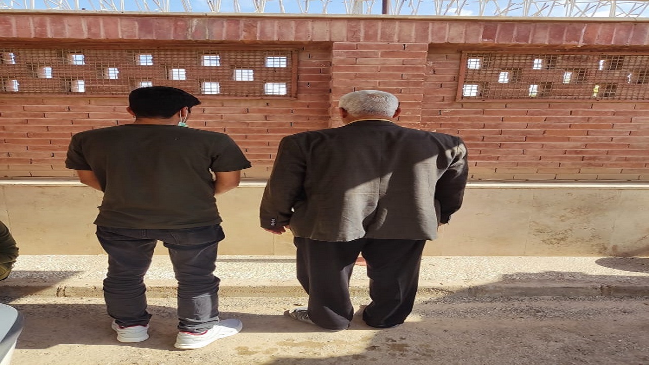 محموله ۱۵تنی تنه درخت در مینوشهر توقیف شد