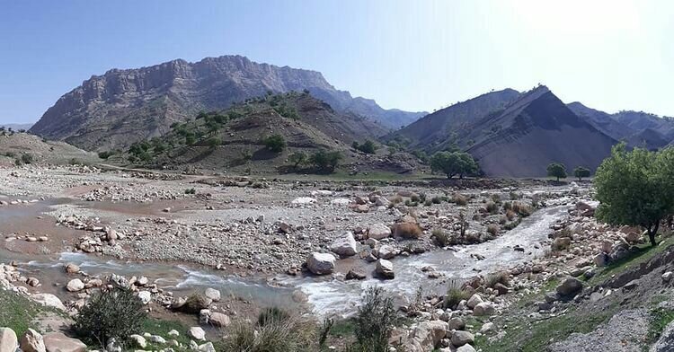 چشمه و طبیعت