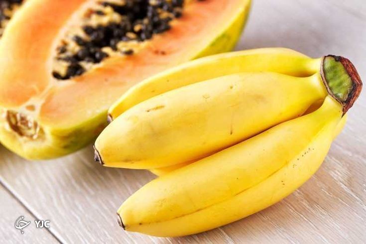 موز و خربزه درختی