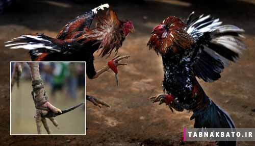 مرگبارترین حوادث جهان + تصاویر