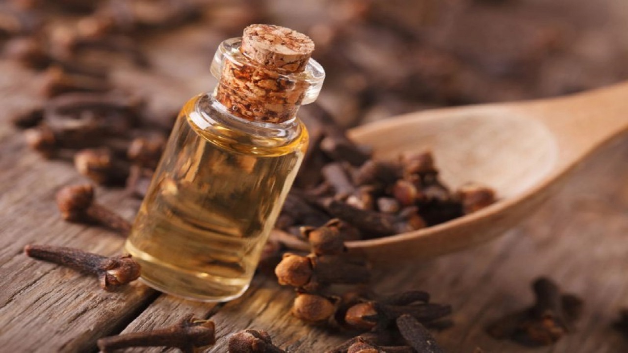مار از پونه بیزار است و پشه از روغن میخک