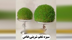 ترفندهایی که در خانه داری به کمک شما می‌آیند! + فیلم