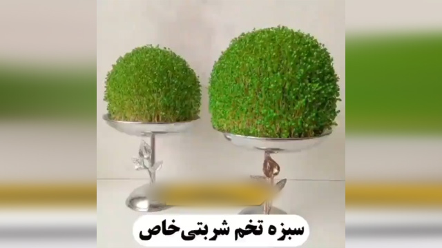 سبزه تخم شربتی برای سفره هفت سین + فیلم