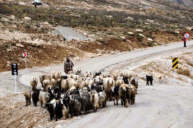 قطع راه مناطق عشایری برخی شهر‌های خوزستان
