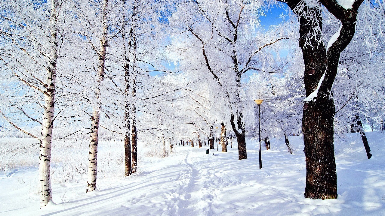 حاکمیت جوی نسبتا پایدار تا ظهر روز چهارشنبه در اردبیل