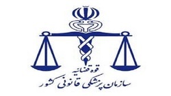 ۸۵ درصد خدمات پزشکی قانونی مربوط به معاینات است