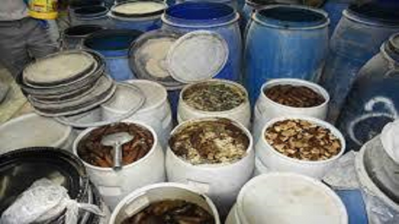 پلمب  کارخانه تولید ترشیجات و کشف  ۳۵ تن مواد غذایی فاسد در شوش