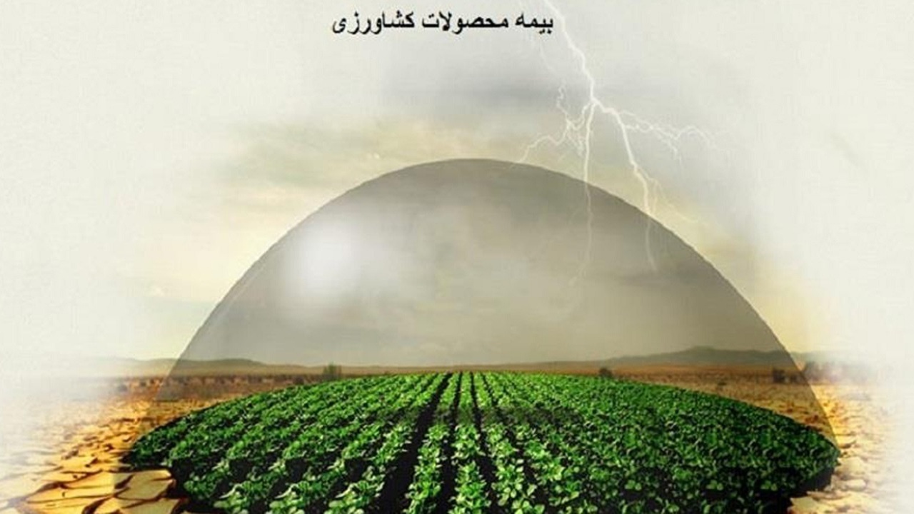 پرداخت ۷۵ درصدی خسارت بیمه شدگان محصولات کشاورزی در بناب