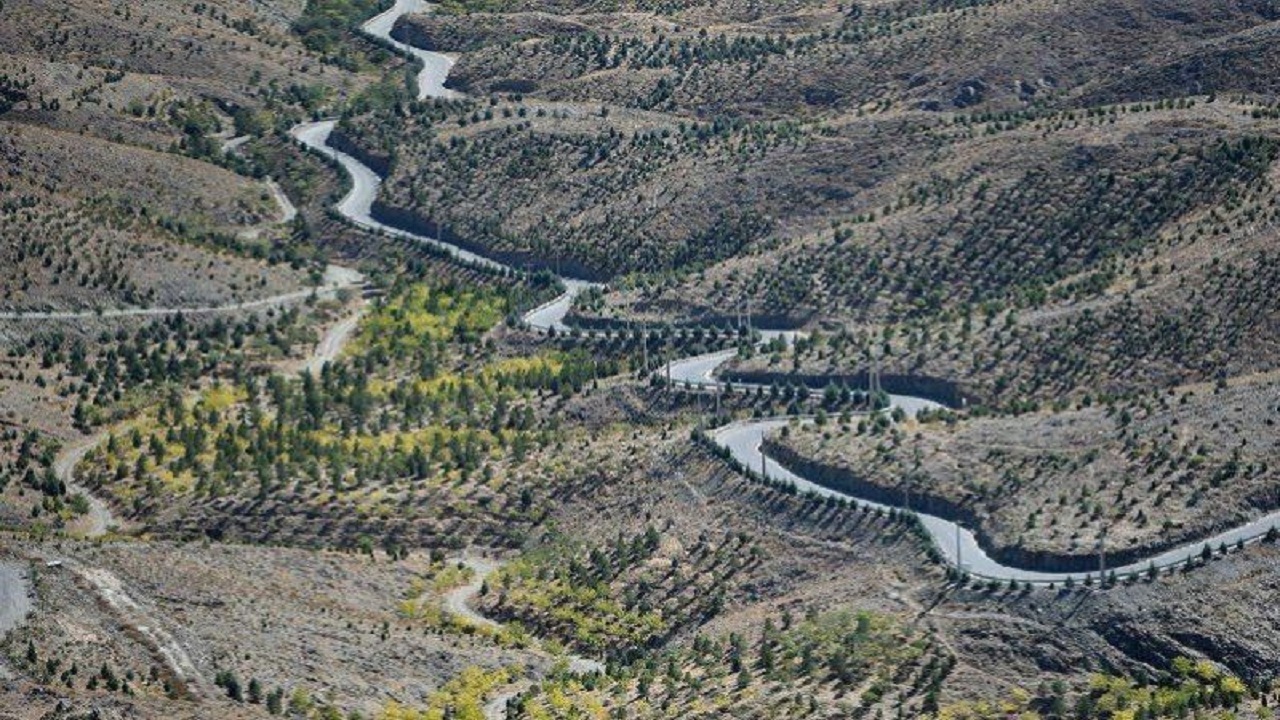 ایجاد ۴۲ کیلومتر کمربند حفاظتی در اراضی ملی استان همدان