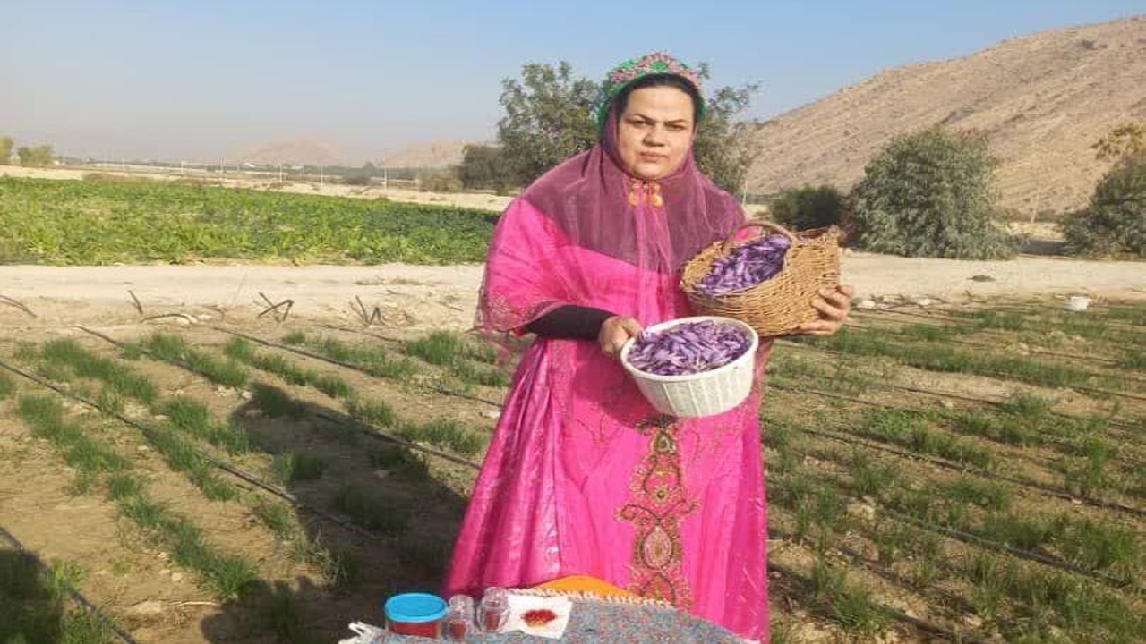 مأموریت غیرممکنی که بانوی کشاورز در کازرون انجام داد